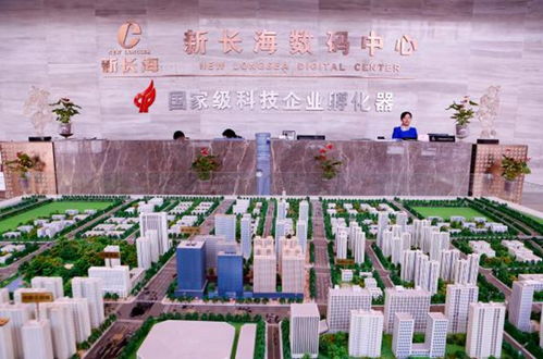 樓宇經(jīng)濟(jì)賦能中小微 新長海服務(wù)外包基地的稅務(wù)解憂之道